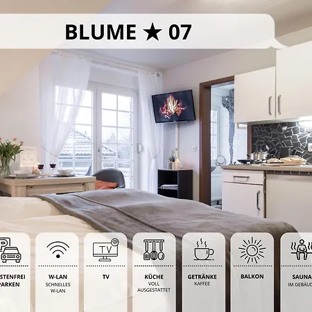 Blumenvilla 7 Mit Kueche, Balkon, Sauna Und Garten