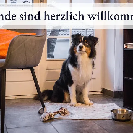 Blumenvilla 7 Mit Kueche, Balkon, Sauna Und Garten * שנברדינגן